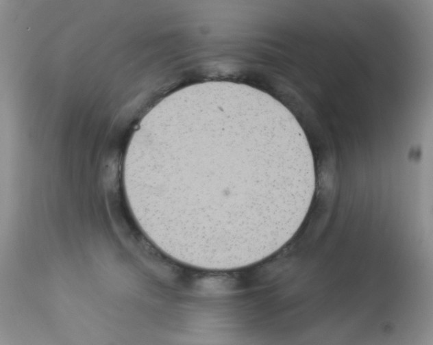 X0000113080468200910091236