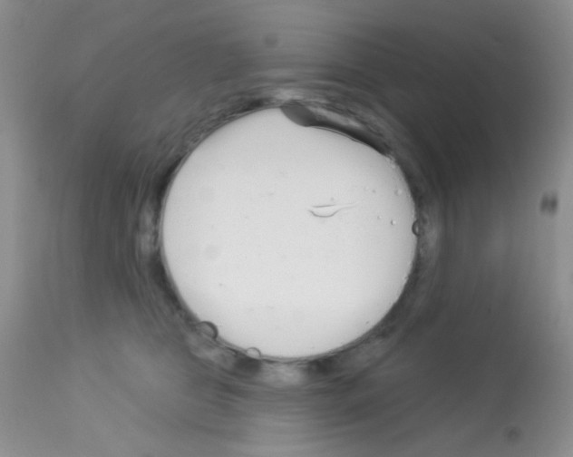X0000113080469200910091236