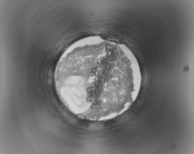 X0000113080470200910091236