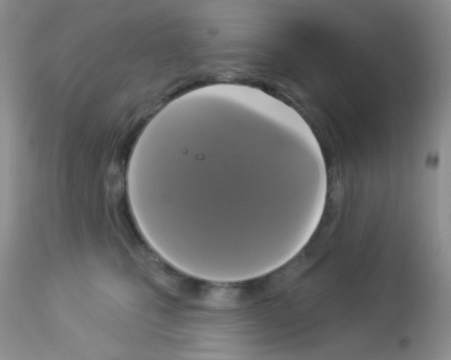 X0000113080471200910091236