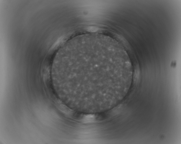 X0000113080473200910091236