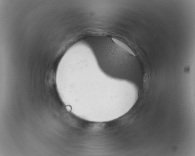 X0000113080474200910091236