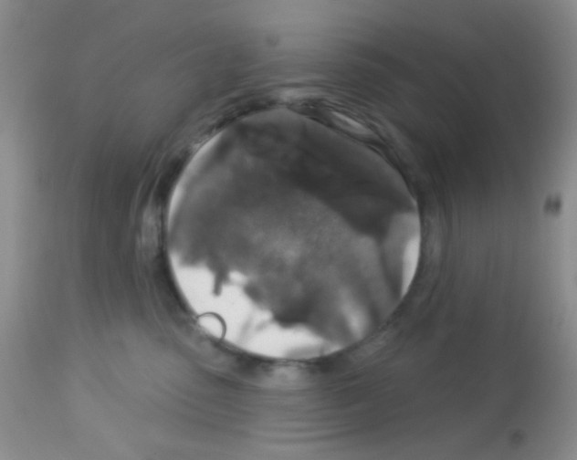 X0000113080475200910091236