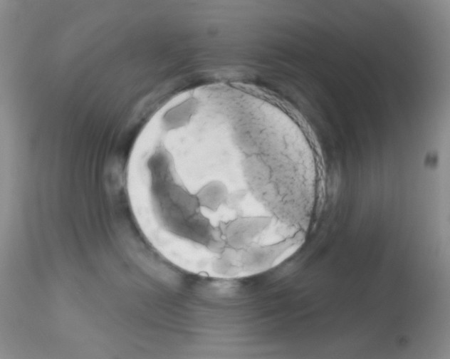 X0000113080478200910091236