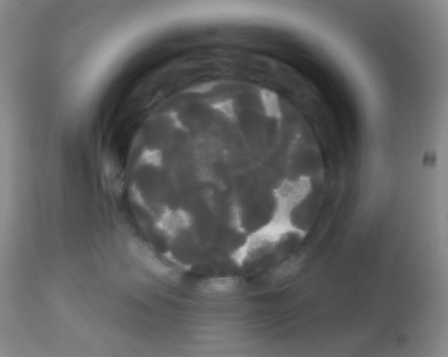 X0000113080479200910091236