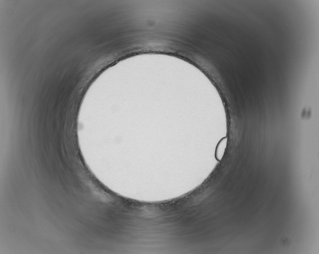 X0000113080481200910091236