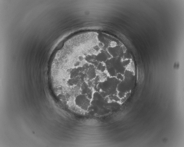 X0000113080483200910091236