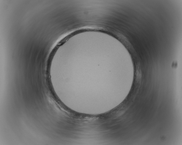 X0000113080484200910091236