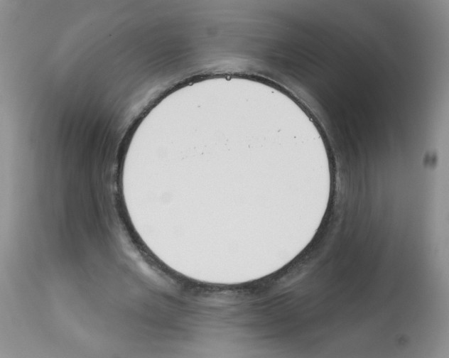 X0000113080485200910091236