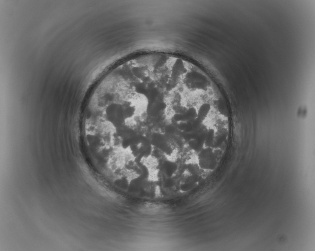 X0000113080487200910091236