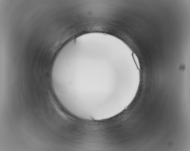 X0000113080489200910091236