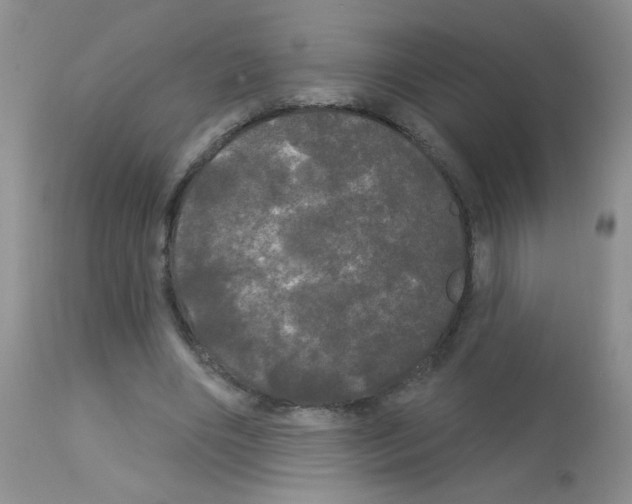 X0000113080490200910091236