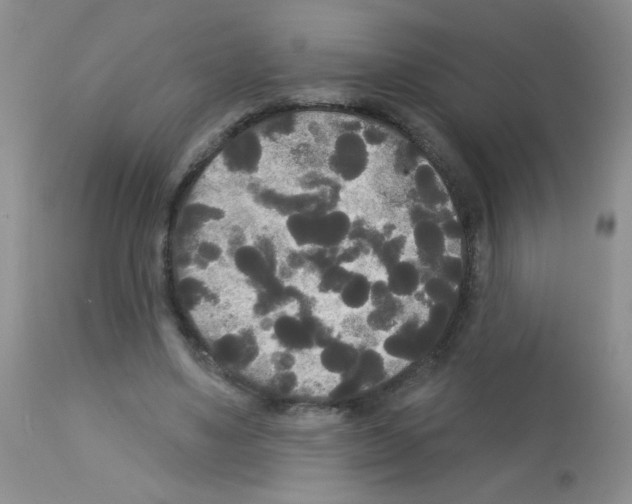 X0000113080491200910091236