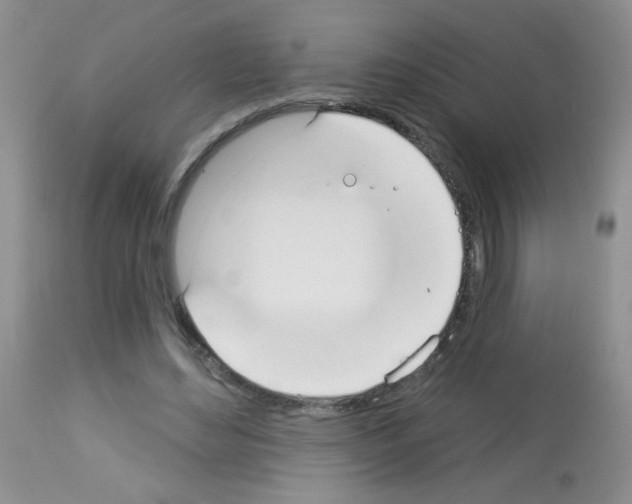 X0000113080492200910091236