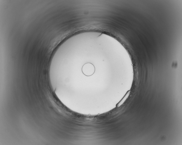 X0000113080493200910091236