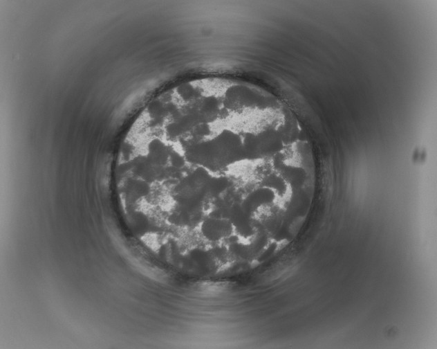 X0000113080495200910091236