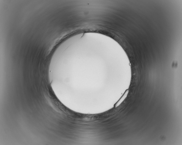 X0000113080496200910091236