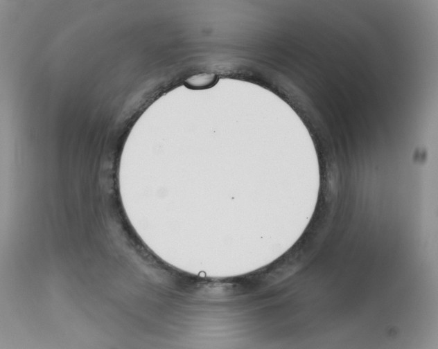 X0000113080497200910091236