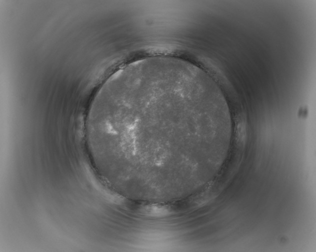X0000113080498200910091236