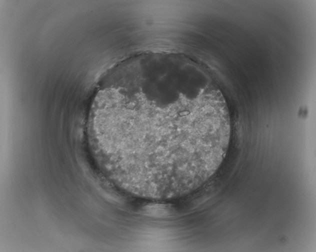 X0000113080499200910091235