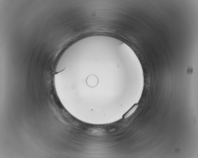 X0000113080500200910091235