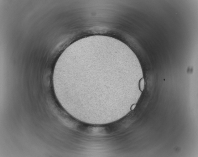 X0000113080501200910091235