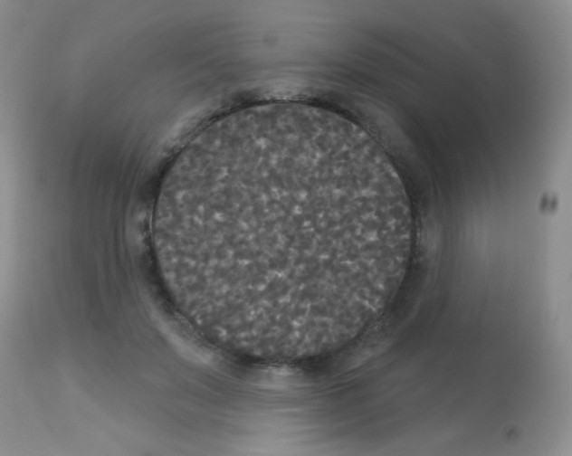 X0000113080503200910091235