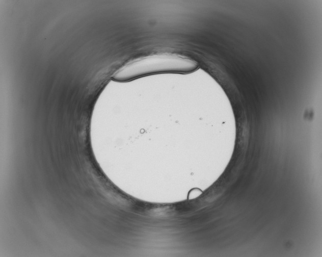 X0000113080505200910091235