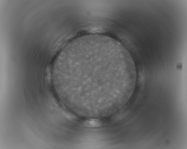 X0000113080506200910091235