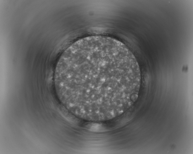 X0000113080507200910091235