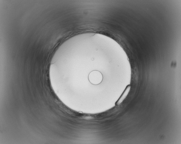 X0000113080509200910091235