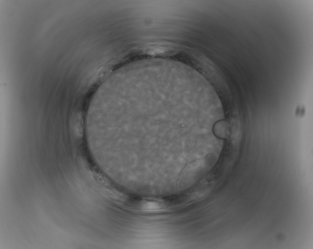 X0000113080510200910091235