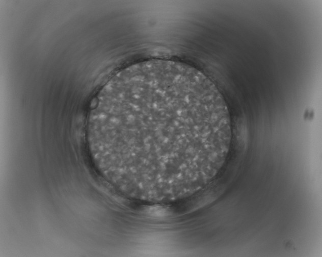 X0000113080511200910091235
