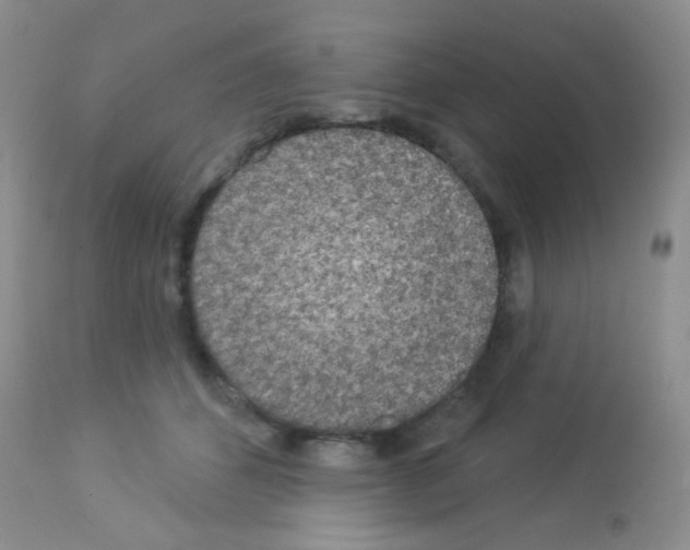 X0000113080512200910091235