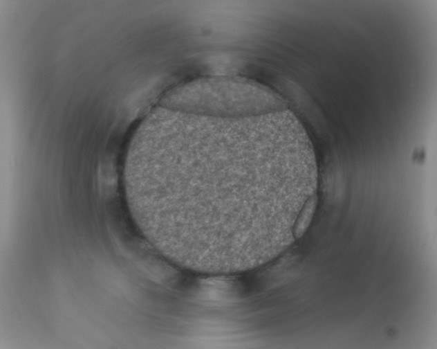 X0000113080516200910091235