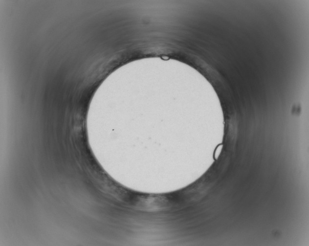 X0000113080517200910091235