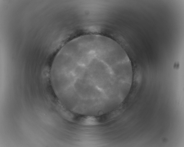 X0000113080518200910091235