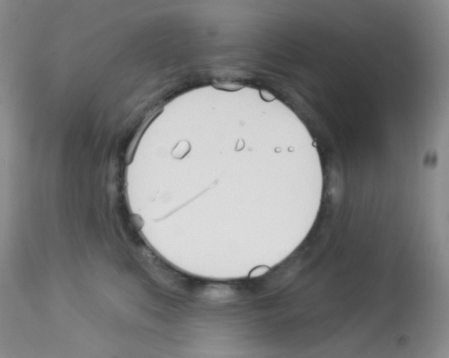 X0000113080519200910091235