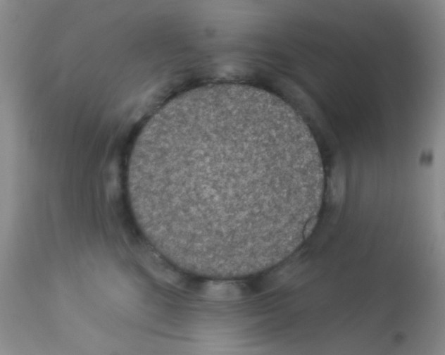 X0000113080520200910091235