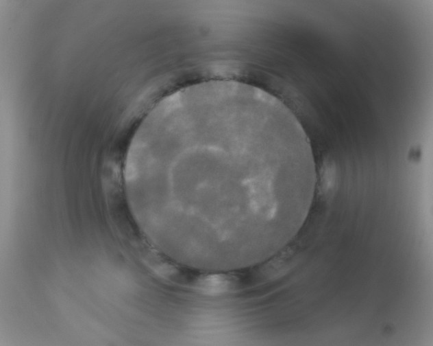 X0000113080522200910091235