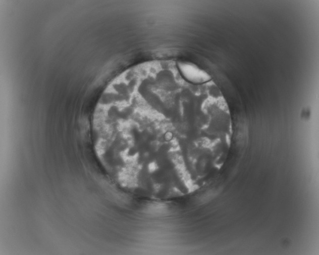 X0000113080523200910091235