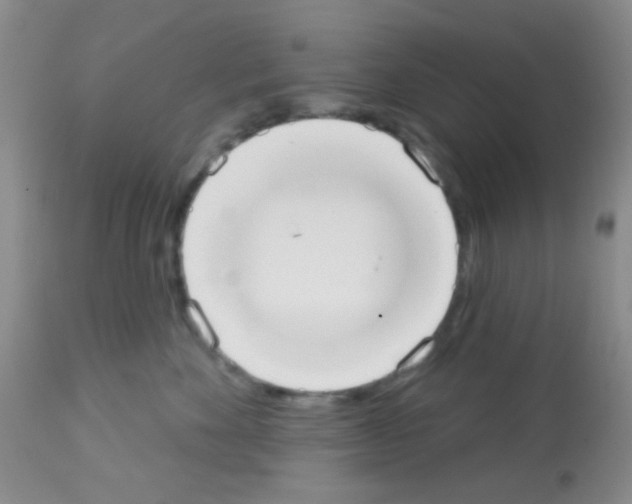 X0000113080524200910091235