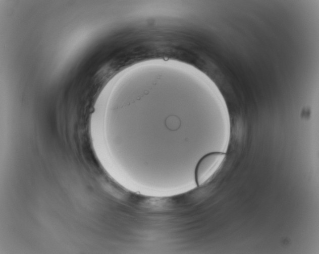 X0000113080526200910091235