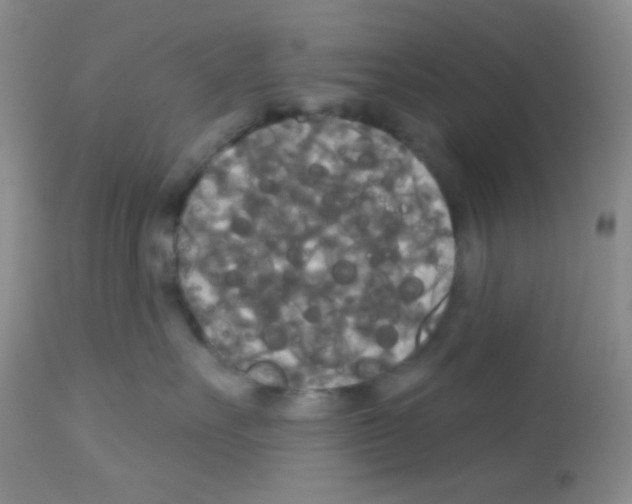 X0000113080527200910091235