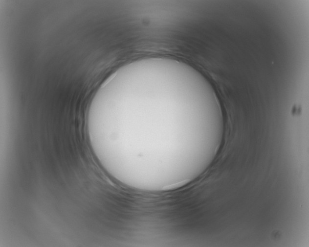 X0000113080528200910091235
