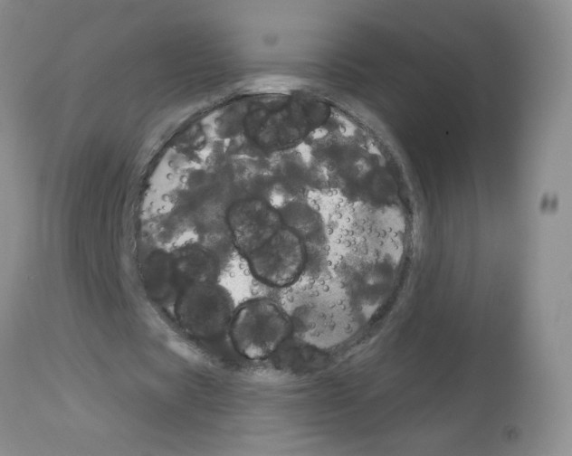 X0000113080529200910091234