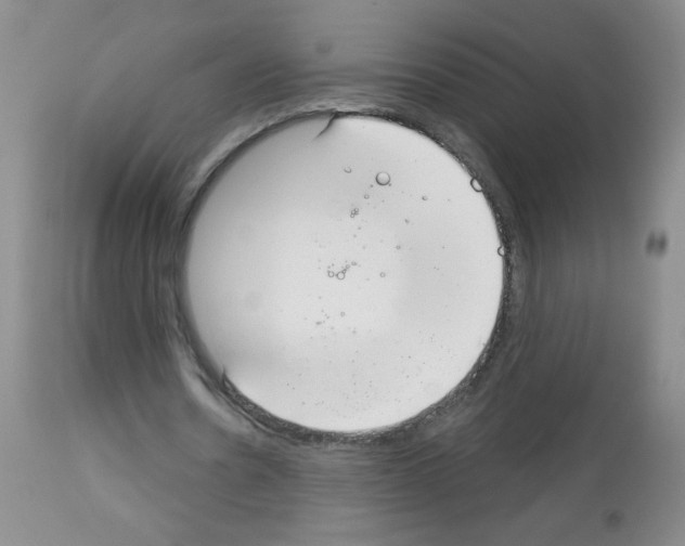 X0000113080530200910091234