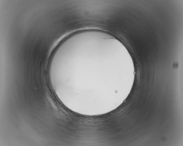 X0000113080532200910091234