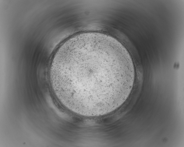 X0000113080534200910091234