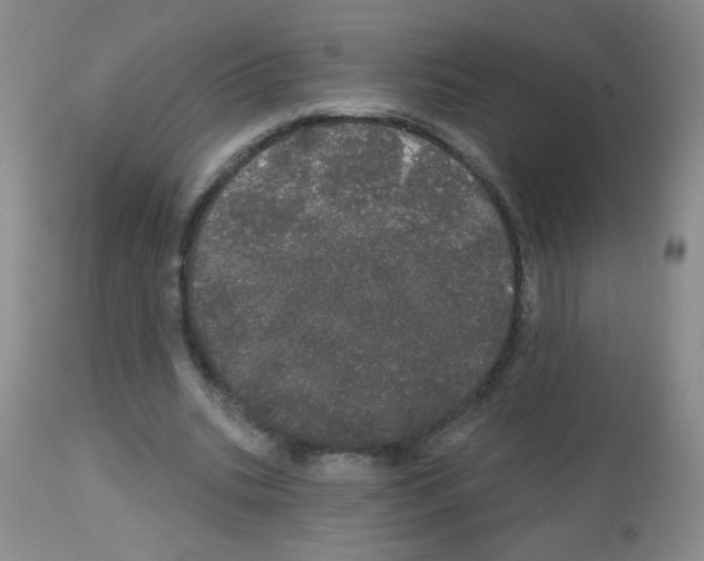 X0000113080535200910091234